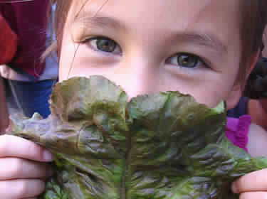 Dieta libre de gluten y caseína en Autismo