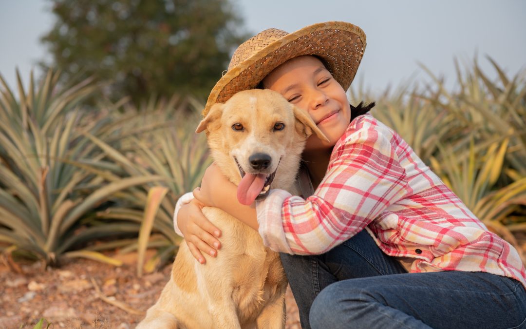 Intervención con perros mejora las habilidades adaptativas y comunicacionales en niños con TEA